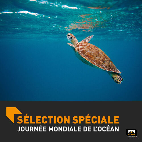 SELECTION SPÉCIALE - JOURNÉE MONDIALE DE L'OCÉAN SELECTION SPÉCIALE - JOURNÉE MONDIALE DE L'OCÉAN