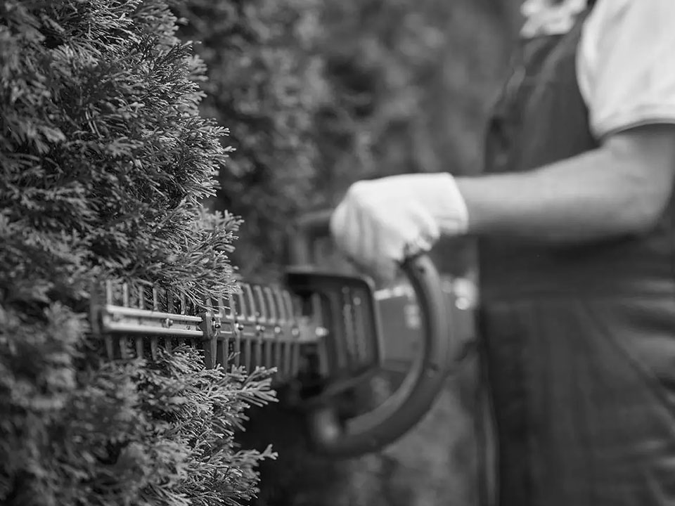 COLLECTIVITÉS COLLECTIVITÉS